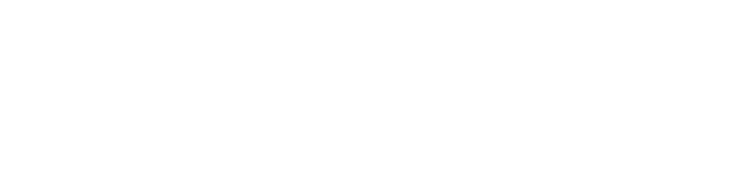 FINNOFLEET P-D-F GmbH